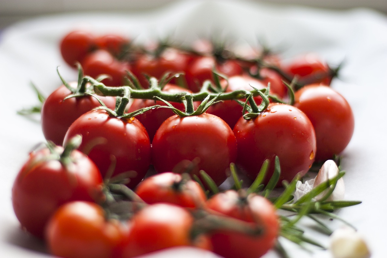 Creare un Giardino Verticale in Casa